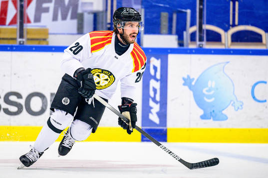 Brynäs Oula Palve