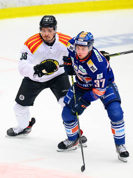 Brynäs Oskars Cibulskis Växjös Glenn Gustafsson