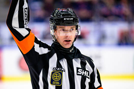 Domare Mikael Andersson