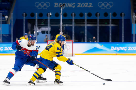 Michal Cajkovsky of Slovakia and Jonathan Pudas of Sweden