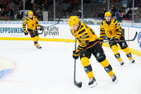 Skellefteås Rickard Hugg