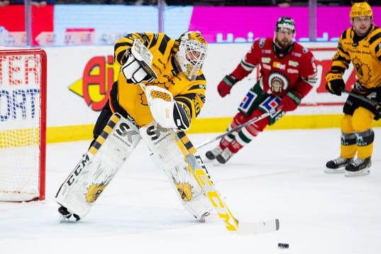 Skellefteås målvakt Gustaf Lindvall