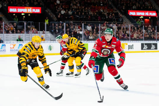 Skellefteås Adam Wilsby och Frölundas Elmer Söderblom
