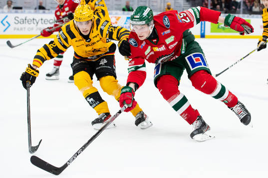 Skellefteås Adam Wilsby och Frölundas Elmer Söderblom