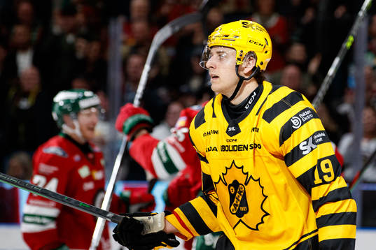 Skellefteås Filip Roos deppar