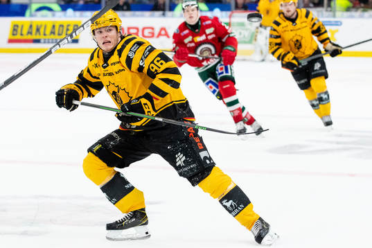 Skellefteås Rickard Hugg