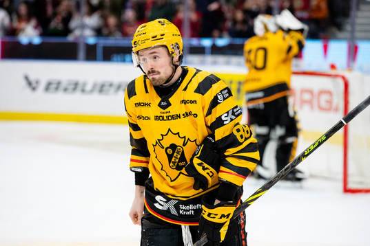 Skellefteås Jayce Hawryluk deppar
