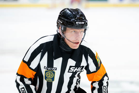 Domare Mikael Holm