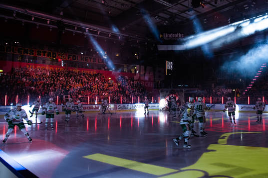 Supportrar på läktaren