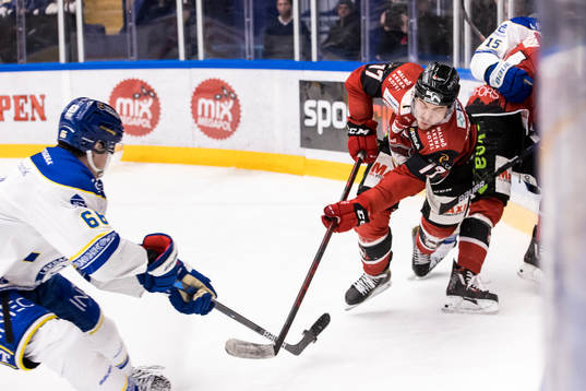 Malmö Redhawks Pathrik Westerholm