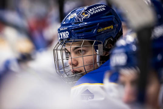 Leksands Lian Bichsel