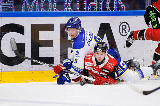 Leksands Patrik Zackrisson och Malmö Redhawks Johan