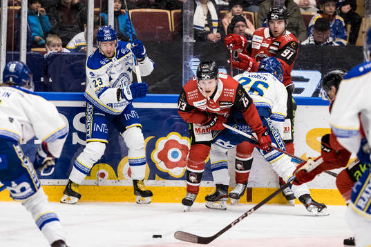 Leksands Mikael Ruohomaa och Malmö Redhawks Kalle Östman