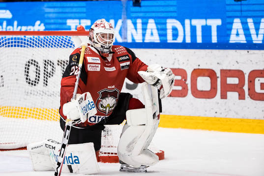 Malmö Redhawks målvakt Daniel Marmenlind deppar