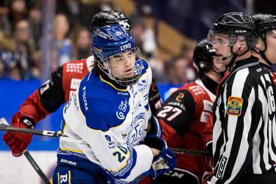 Leksands Lian Bichsel