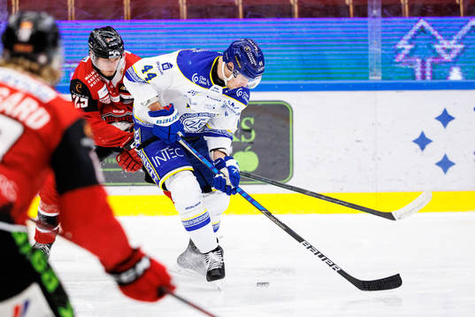 Leksands Carter Ashton