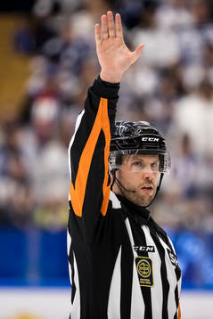 Domare Johan Magnusson
