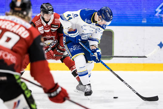 Leksands Carter Ashton