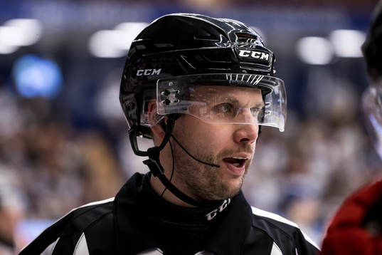 Domare Johan Magnusson