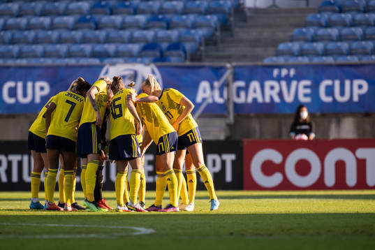 Swedens players
