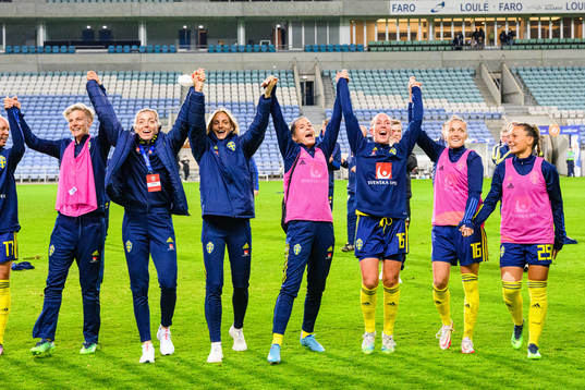 Player of Sweden thank the crowd