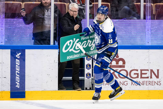 Leksands Lian Bichsel