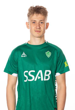 Brages Henry Sletsjøe