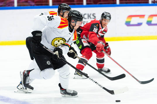 Brynäs Linus Ölund