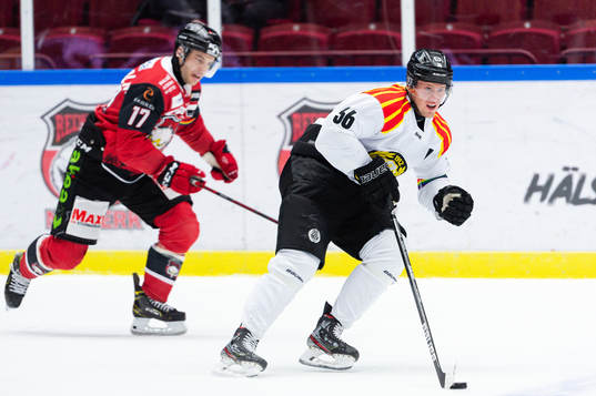 Malmö Redhawks Pathrik Westerholm och Brynäs Linus Ölund