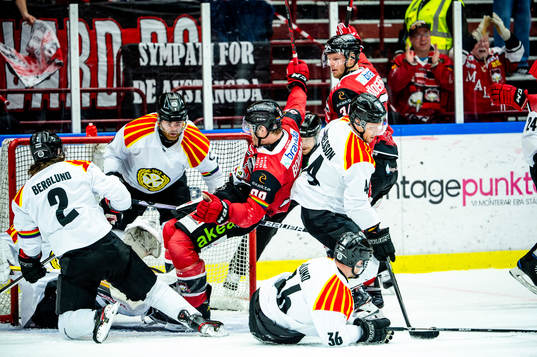 Malmö Redhawks Carl Söderberg jublar
