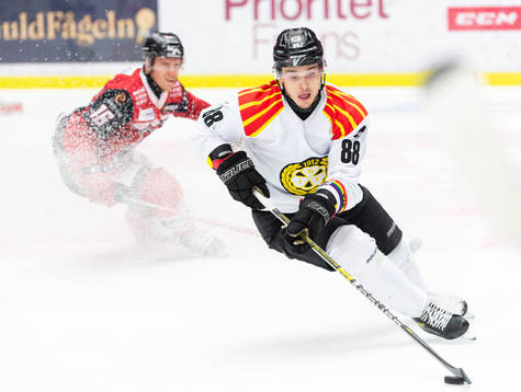 Brynäs Dmytro Timashov