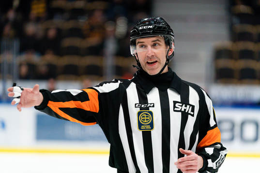 Domare Linus Öhlund