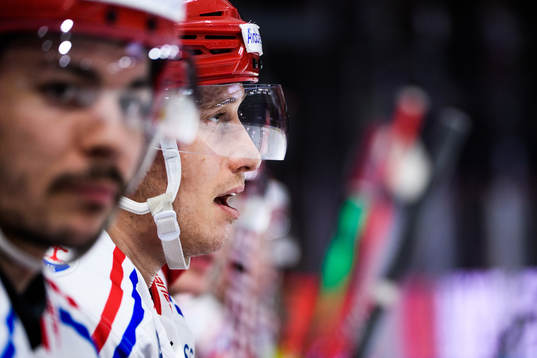 Timrås Robin Alvarez