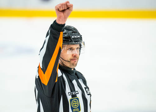 Domare Johan Magnusson