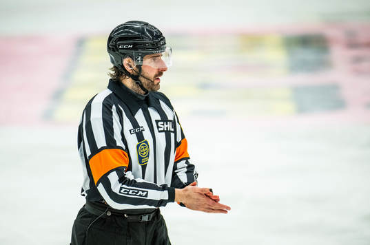 Domare Mikael Sjöqvist