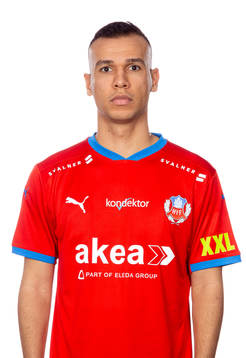 Helsingborgs Sumar Almadjed