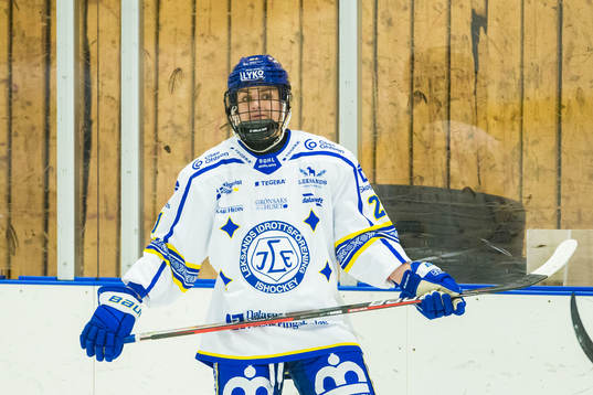 Leksands Tereza Vanisova