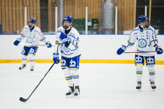 Leksands Gracen Hirschey deppar