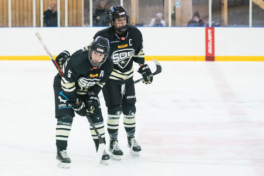 SDEs Kelly Murray leds av planen