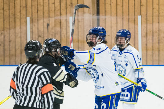 Bråk mellan SDEs Kayleigh Hamers och Leksands Gracen