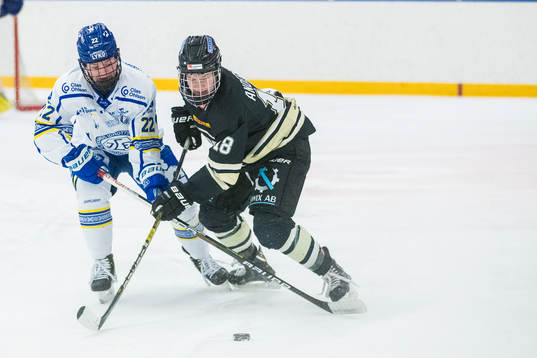 Leksands Agnez Svensson och SDEs Alexandra Anderson