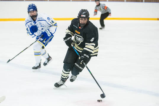 Leksands Payge Pena och SDEs Kayleigh Hamers