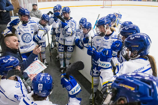 Leksands tränare Mathias Olsson och spelare i en timeout