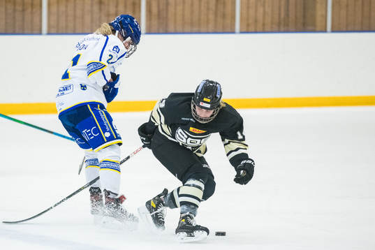 Leksands Tereza Vanisova och SDEs Kayleigh Hamers