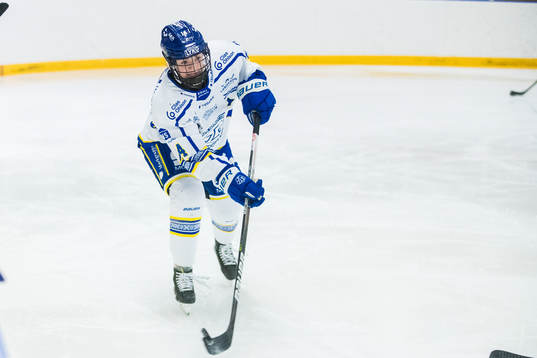 Leksands Payge Pena