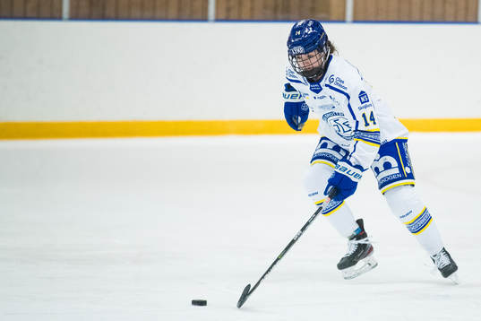 Leksands Payge Pena