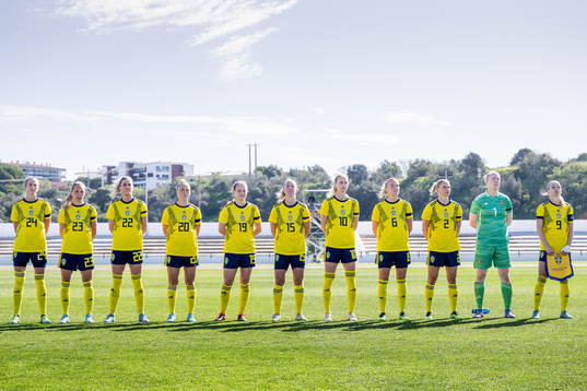 Players of Sweden