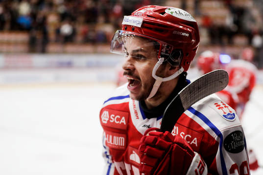 Timrås Ty Rattie