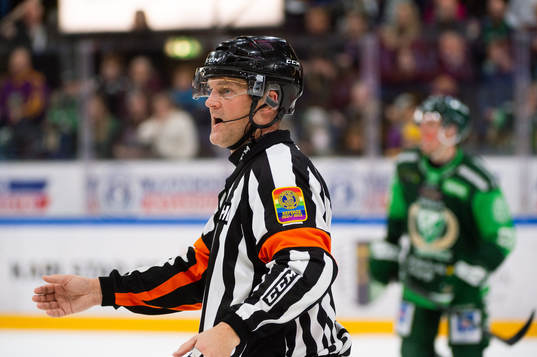 Domare Mikael Nord