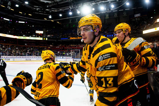 Skellefteås Stefan Loibl jublar med lagkamrater